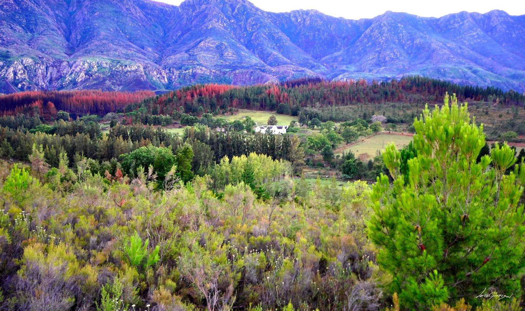 A Hilltop Country Retreat Swellendam Zewnętrze zdjęcie